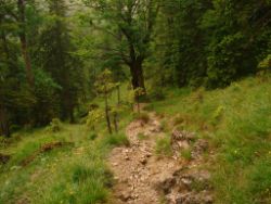 2013-06-22_Hirschhoerndl_Jochberg (235).JPG